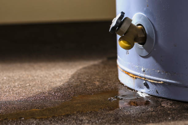 Best 24-hour water damage restoration  in Coto De Za, CA