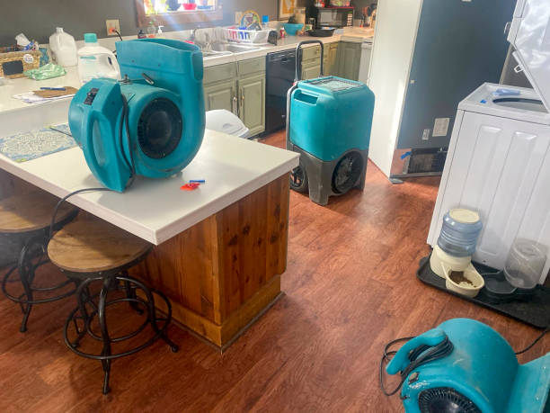 Best Basement water damage restoration  in Coto De Za, CA