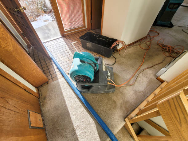 Best Water damage contractors near me  in Coto De Za, CA