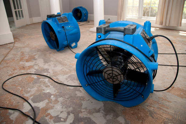 Best Fire Damage Restoration  in Coto De Za, CA