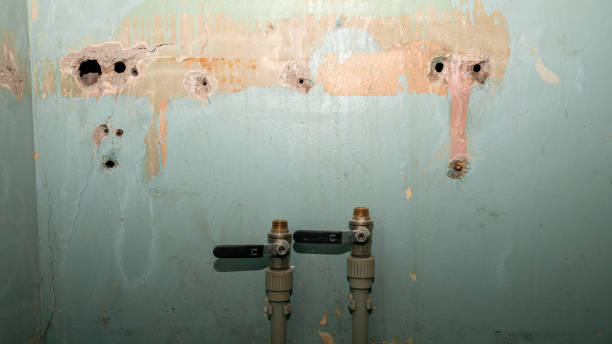 Best Mold removal after water damage  in Coto De Za, CA