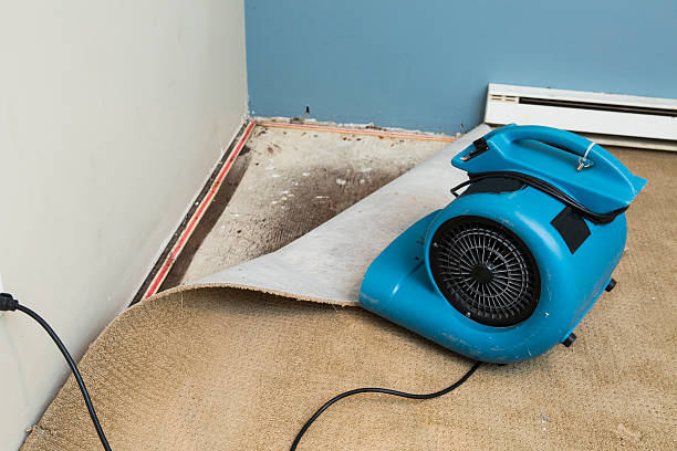 Best Basement water damage restoration  in Coto De Za, CA